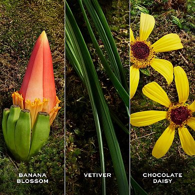 Daisy Wild Eau So Extra Eau de Parfum