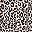 Pink Leopard