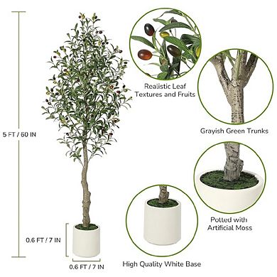 2Pcs 5FT Tall Faux Olive Tree with White Tall Planter, Olive Trees Artificial Indoor