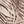 Brown Palm Fade