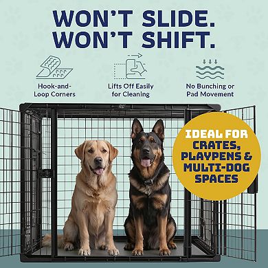 Katziela Quick-Drying Washable Pee Pads for Dogs (2 Pack 18x24 Rectangular) Waterproof Reusable