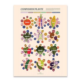 Companion Plants Giclée Print