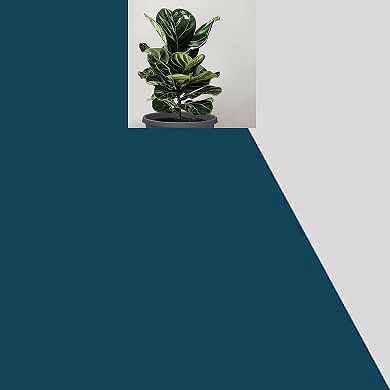 10" Whiskey Barrel Planters Durable Plastic Pots with Drain Holes & Saucer, Pack of 10