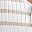 White Beige Stripe