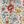 Tan Multi Floral