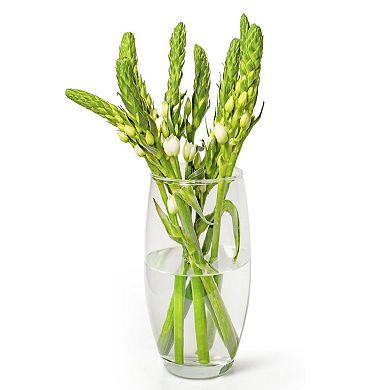 Small Clear Glass Bullet Vase 10" with Oval Shape for Table or Shelf Décor