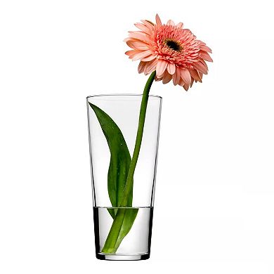 Small Clear Glass Tapered Vase with Rounded Opening