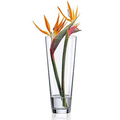 Handblown Clear Glass Conical Vase for Flowers or Branches