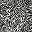 Black Scatter Shell