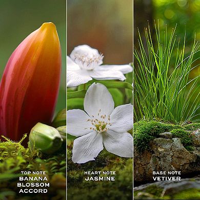 Mini Daisy Wild Eau de Parfum Duo Gift Set