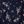 Navy Elina Fleurs