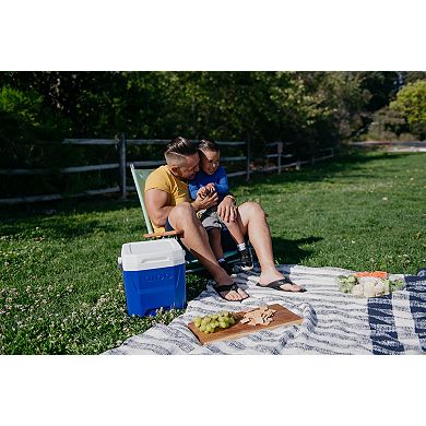 Igloo 12-qt. Cooler