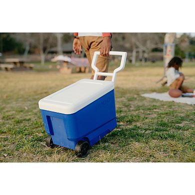 Igloo 38-qt. Wheelie Cooler