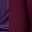 Burgundy Purple