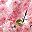 Pink Single Hole