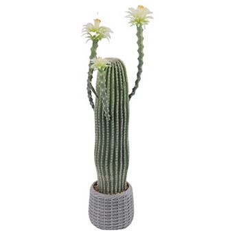IDEALHOUSE 37 Inch Artificial Cactus Potted Plant Realistic Desert Décor