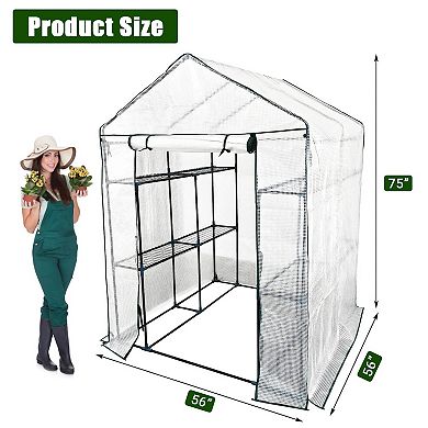 IDEALHOUSE Greenhouse