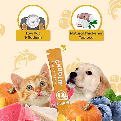 Choolip Squeeze Vita Stick for Cats and Dogs Kidneys Grab and Go Pack - 49 Pack