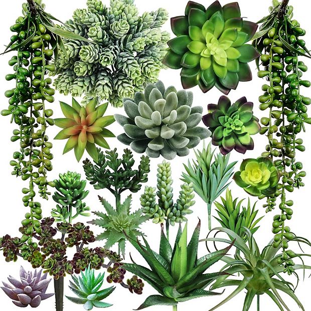 19 Pcs Assorted Artificial Succulents Plants Unpotted Small Green Hanging  Succulent Aloe Fake
