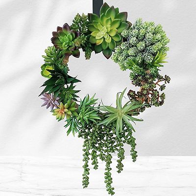 miniature succulents bulk Gardens Made Easy ™ Bulk Succulent 50-pack: Colorful, Cute & Carefree  Plants – Wedding, Celebration, DIY Succulents - (2