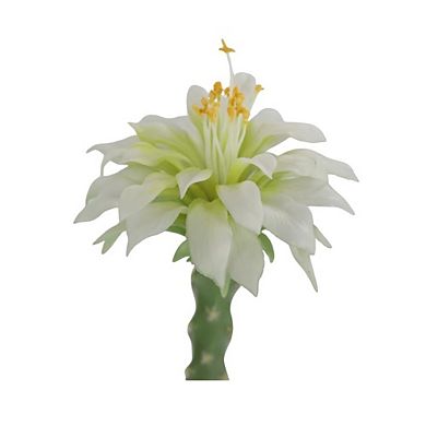 Artificial Cactus in Pot, Large Succulent Plant for Home, Garden & Office Decor