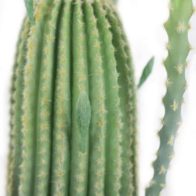 Artificial Cactus in Pot, Large Succulent Plant for Home, Garden & Office Decor
