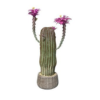 Artificial Cactus in Pot, Large Succulent Plant for Home, Garden & Office Decor