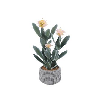 Artificial Cactus in Woven Pot with Flowers for Outdoor/Indoor Living Room & Office