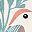White Bird
