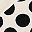 Black Polka Dots