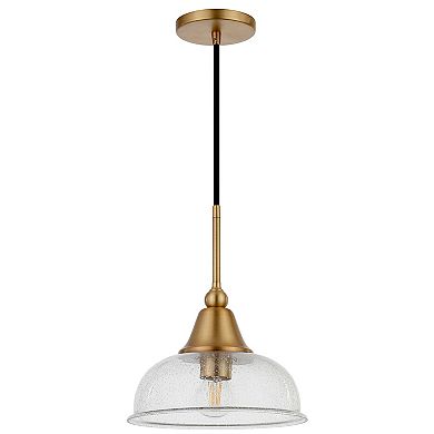 Finley & Sloane Magnolia Pendant Light Fixture with Glass Shade
