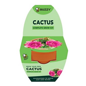 Buzzy Seeds Classic Terracotta Grow Kit