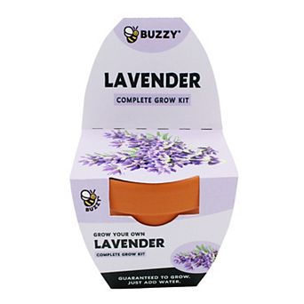 Buzzy Seeds Classic Terracotta Grow Kit