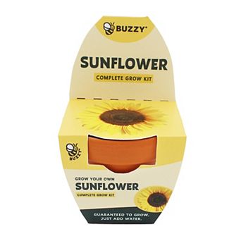Buzzy Seeds Classic Terracotta Grow Kit