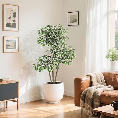 Artificial Ficus Tree in White Tall Planter, 3 Trunks & White-Edged Leaves for Home & Garden