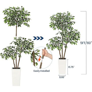 Artificial Ficus Tree in White Tall Planter, 3 Trunks & White-Edged Leaves for Home & Garden