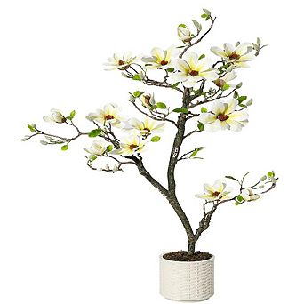 Artificial Magnolia Tree with 180 Flowers, Moss & White Pot for Yard, Home & Office