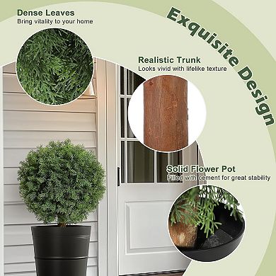 2-Pack Artificial Cedar Topiary Ball Trees in Black Pot for Indoor/Outdoor Porch Decor