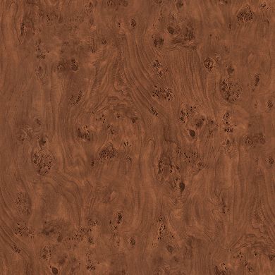 Finley & Sloane Anders 20" Burled Side Table