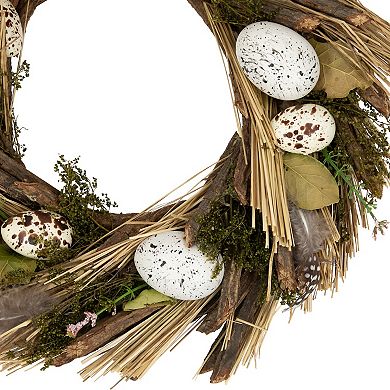 Northlight Speckled Eggs & Feathers Artificial Easter Wreath - 14 Inches