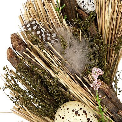Northlight Speckled Eggs & Feathers Artificial Easter Wreath - 14 Inches