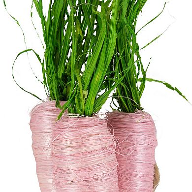 Northlight 9-inch Straw Carrot Easter Decorations Set of 3