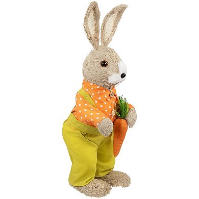 Northlight 16 Inch Standing Boy Rabbit with Carrot Figurine