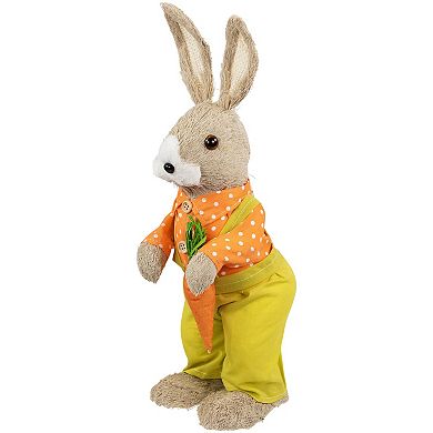 Northlight 16 Inch Standing Boy Rabbit with Carrot Figurine