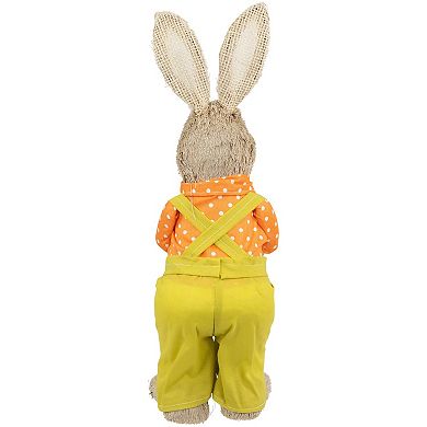 Northlight 16 Inch Standing Boy Rabbit with Carrot Figurine