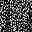 Black White Floral
