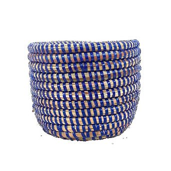 Succulent Basket Plan