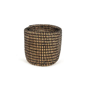 Succulent Basket Plan