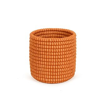 Succulent Basket Plan