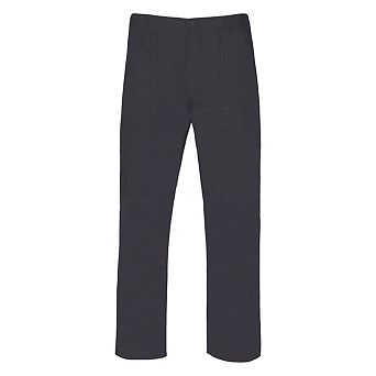 Regatta Mens New Action Trouser (Regular) / Pants